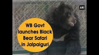 WB Govt launches Black Bear Safari in Jalpaiguri - West Bengal News