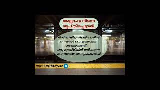 അല്ലാഹു നിന്നെ തൃപ്തിപ്പെട്ടാൽ..||അബ്ദുൽ മുഹ്സിൻ ഐദീദ് وفقه الالله