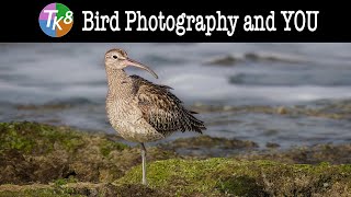 TK8 Bird Photography and YOU (Practice Image and PDF Tutorial Notes are available as a DOWNLOAD)