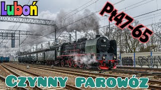 Parowóz w ruchu planowym! Pt47-65 z pociągiem KW | Luboń