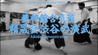 ［演武］養神館合気道 精晟会渋谷　- Aikido Demonstration -