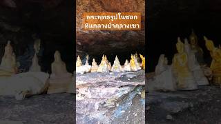 พระพุทธรูปในซอกหินกลางป่ากลางเขา #คนเดินป่า #ท่องเที่ยว #เดินป่า #survival