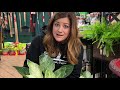 full garden center houseplant tour 🌿🥰 garden answer