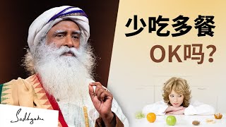 少吃多餐有益吗？🍚 | Sadhguru 萨古鲁