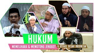 HUKUM MEMELIHARA \u0026 MEMOTONG JENGGOT - 6 USTADZ BESAR INDONESIA