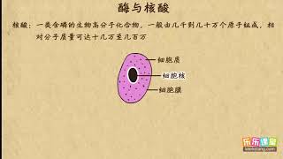 12酶与核酸   生命中的基础有机化学世界    高中化学