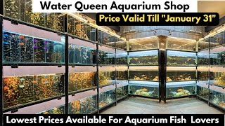 Aquarium Fishes At Lowest Prices Water Queen Aquarium Shop Aquarium Fishes Sale Till 31 January 2025