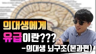 의대생들은 전부 바람둥이?!!(의대생 뇌구조 본과편) | 금닥터 의대