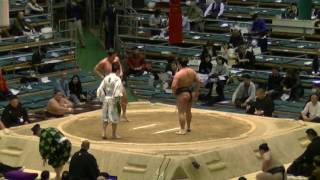 鏡桜-高春日/2017.3.17(13)/kagamio-takakasuga/day6 #sumo