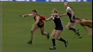 Sunshine Vs Box Hill - VFA 2nd Division Grand Final 1986