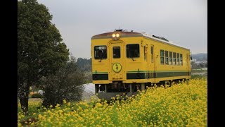 いすみ鉄道ムーミン列車最終日 2019年3月31日