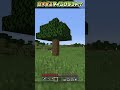 謎でできたマインクラフト！？【マイクラ】【豆知識 解説 裏技】 shorts