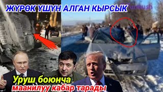 Унаа тоголонуп кеткен видео