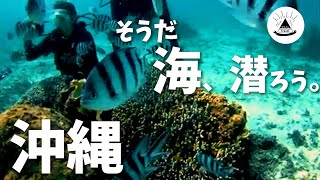 【感動】エメラルドの世界へダイビング！4泊5日【沖縄旅行ふたりVlog】