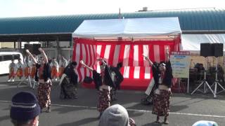 下関さかな祭り2015　舞龍人