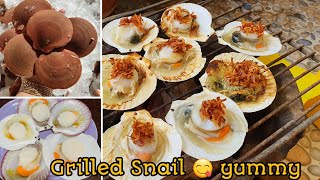 Method cleaning Snail to cleanly for Grilled- វិធីសម្អាត ខ្យងស៊ែល ខ្យងផ្លិតអោយបានស្អាត | food\u0026health