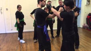 The #1 Mistake Of The Wing Chun Practitioner