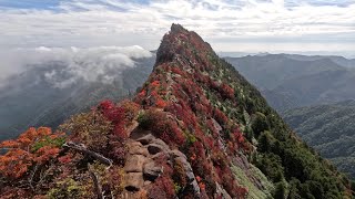 石鎚山紅葉見頃2023。Autumn colors at their peak top of Ishizuchisan 2023.