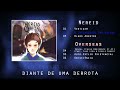 nereid a intensidade das quedas official lyric video