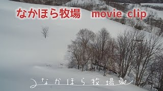 空から今日の牧場を見てみよう。