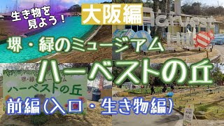 【大阪】堺・緑のミュージアム　ハーベストの丘(入口・生き物編)