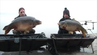 Rybnik 2016. Karp 30.85kg !!