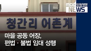 [뉴스리포트]어촌계 바다, 편법 불법으로 거래 성행190325