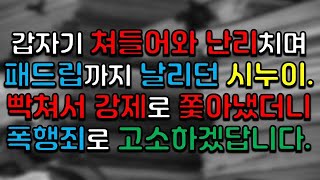 갑자기 쳐들어와 난리 치며 패드립까지 날리던 시누이. 빡쳐서 강제로 쫓아냈더니 폭행죄로 고소하겠답니다.