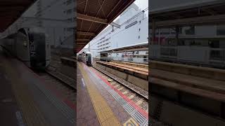 成田エクスプレス（N'EX）E259系 錦糸町駅通過 JR Narita Express