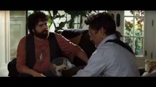 Due date: drinking he's dad ashes scene