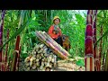 Harvesting Sugarcane Farm Goes To Market Sell - Cooking, Gardening, Daily Life | Tieu Lien