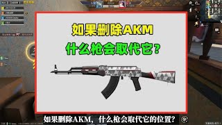 如果删除AKM，什么枪会取代它的位置？这3把枪可开心了