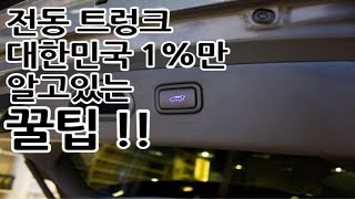 전동 트렁크 대한민국 1%만 알고 있는 비밀 기능!!  파워테일게이트,파워트렁크 대박 꿀팁