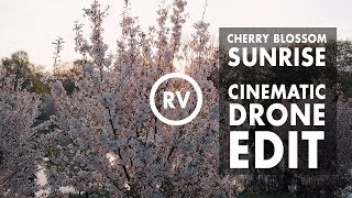 CHERRY BLOSSOM SUNRISE | CINEMATIC DRONE EDIT