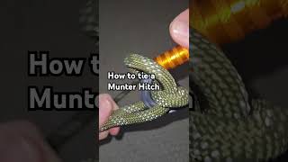 How to tie a Munter Hitch