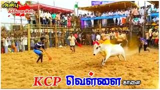 ✨💥 2023 பள்ளப்பட்டி ஜல்லிக்கட்டில் KCP வெள்ளை காளை 💥✨