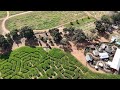 bishop’s pumpkin farm u0026 corn maze