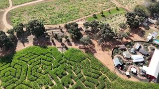 Bishop’s Pumpkin Farm \u0026 Corn Maze