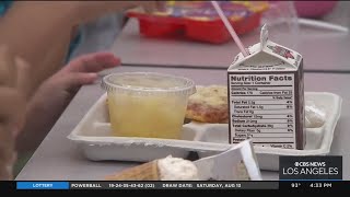 Doctors concerned with high caloric food in new Universal School Meals Program