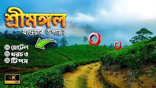 শ্রীমঙ্গল ভ্রমণের সবকিছু ২০২৫ || Sreemangal Tour-2025