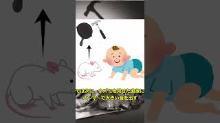 アルバート坊やの実験#ゆっくり解説 #科学 #雑学 #心理学 #実験 #パブロフの犬