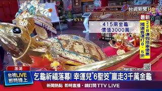 命中注定? 金飾設計負責人抱回415兩重金龜