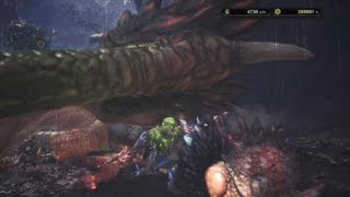 【MHW】氷炎剣ヴィルマフレアで歴戦個体プケプケ倒してみる 追い剥ぎの装衣付き