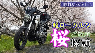 バイクでご近所桜巡りフォトツーリング