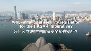 Regina lp: the U.S. is afraid Hong Kong spotted a legal loophole