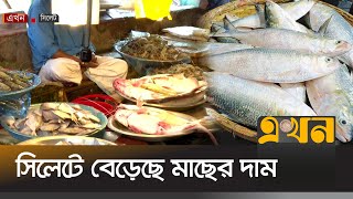 সিলেটে বেড়েছে ইলিশসহ বিভিন্ন মাছের দাম | Sylhet Bazar | Hilsa | Ilish | Price Hike | Ekhon TV