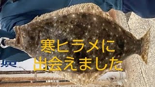 2025年1月長崎県平戸市での初釣行！今が旬のあの魚