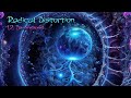 Radical Distortion - Quantum Gravity (Remastered)