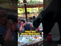 Bear Interrupts Picnic | Black Bear Crashes Family Picnic In Mexico | Bear Picnic | #shorts N18S