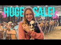 MIDWEST'S LARGEST HORSE TACK SALE!!! SO MANY GOOD DEALS!